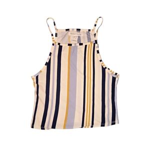 Streetwear Society Striped Cropped Blue and Tan Sleeveless Crop Tank Top